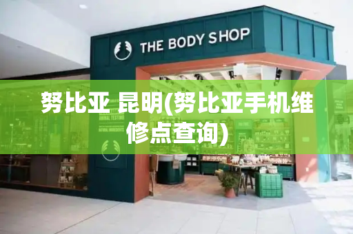 努比亚 昆明(努比亚手机维修点查询)-第1张图片-星选测评