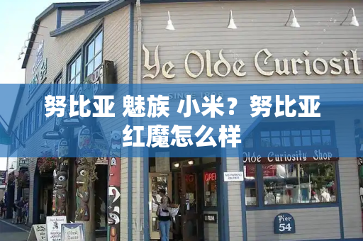 努比亚 魅族 小米？努比亚红魔怎么样