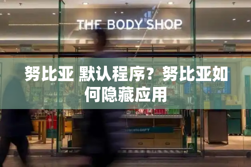 努比亚 默认程序？努比亚如何隐藏应用
