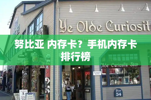 努比亚 内存卡？手机内存卡排行榜-第1张图片-星选测评