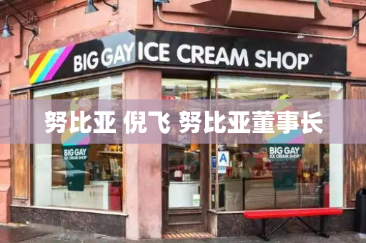 努比亚 倪飞 努比亚董事长