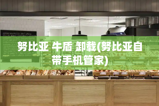 努比亚 牛盾 卸载(努比亚自带手机管家)