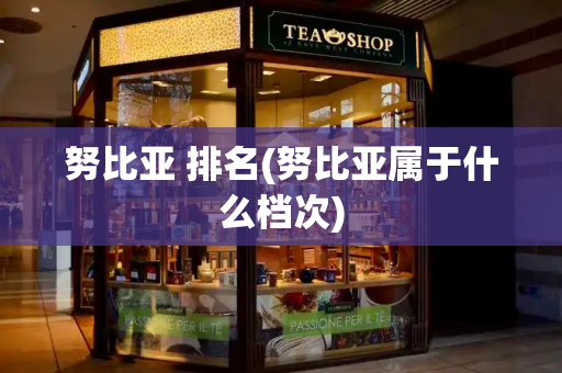 努比亚 排名(努比亚属于什么档次)