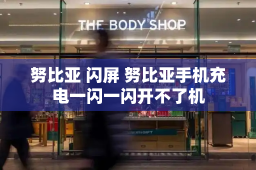 努比亚 闪屏 努比亚手机充电一闪一闪开不了机-第1张图片-星选测评