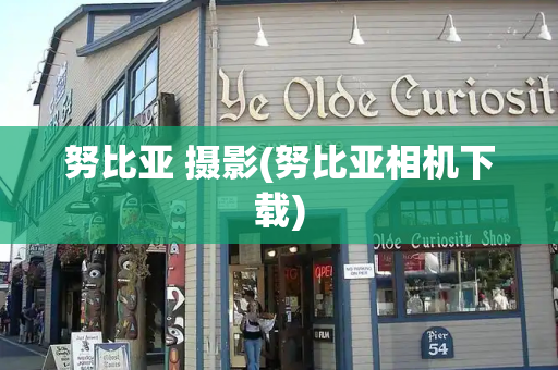 努比亚 摄影(努比亚相机下载)