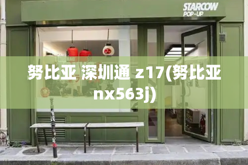 努比亚 深圳通 z17(努比亚nx563j)-第1张图片-星选测评