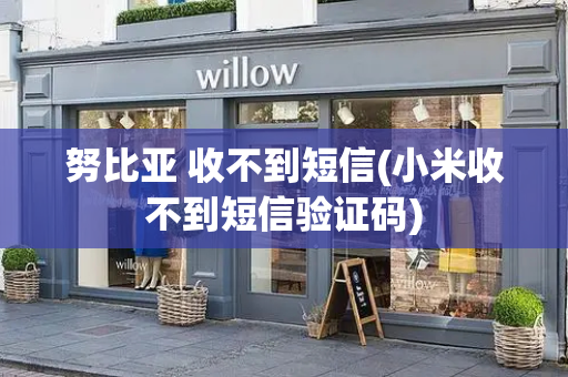 努比亚 收不到短信(小米收不到短信验证码)
