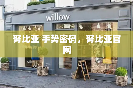 努比亚 手势密码，努比亚官网-第1张图片-星选测评