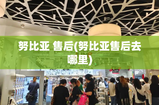努比亚 售后(努比亚售后去哪里)