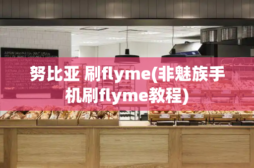 努比亚 刷flyme(非魅族手机刷flyme教程)
