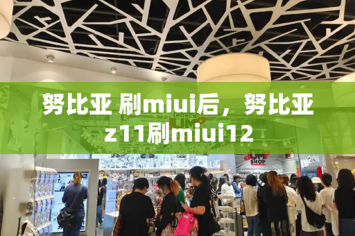 努比亚 刷miui后，努比亚z11刷miui12-第1张图片-星选测评