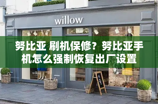 努比亚 刷机保修？努比亚手机怎么强制恢复出厂设置-第1张图片-星选测评