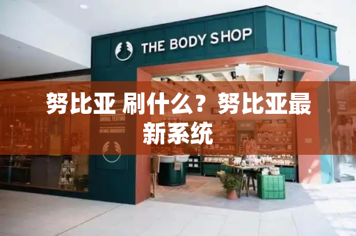 努比亚 刷什么？努比亚最新系统-第1张图片-星选测评