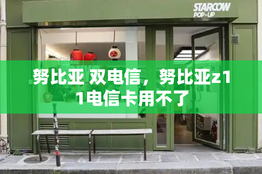 努比亚 双电信，努比亚z11电信卡用不了