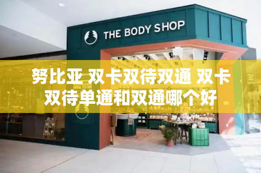努比亚 双卡双待双通 双卡双待单通和双通哪个好-第1张图片-星选测评