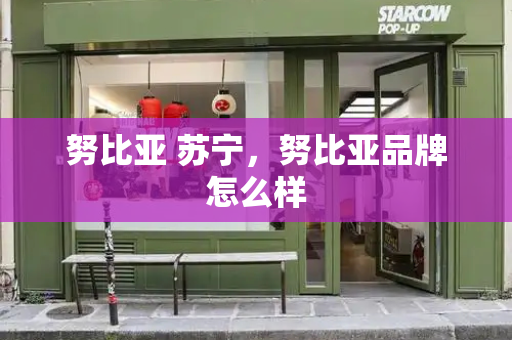 努比亚 苏宁，努比亚品牌怎么样-第1张图片-星选测评