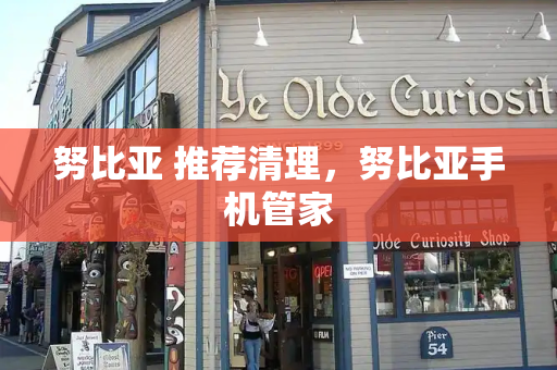 努比亚 推荐清理，努比亚手机管家-第1张图片-星选测评