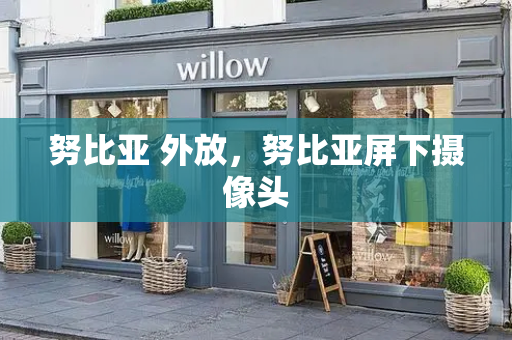 努比亚 外放，努比亚屏下摄像头-第1张图片-星选测评