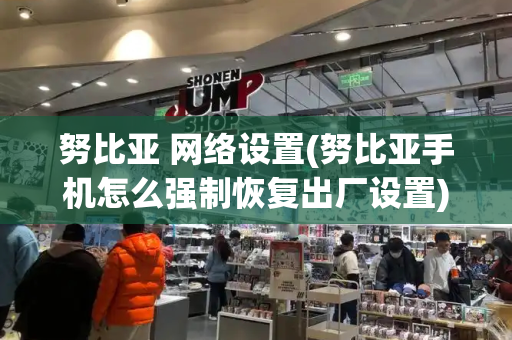努比亚 网络设置(努比亚手机怎么强制恢复出厂设置)-第1张图片-星选测评