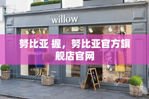 努比亚 握，努比亚官方旗舰店官网