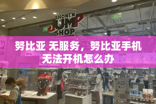 努比亚 无服务，努比亚手机无法开机怎么办-第1张图片-星选测评