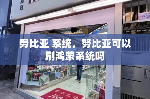 努比亚 系统，努比亚可以刷鸿蒙系统吗-第1张图片-星选测评