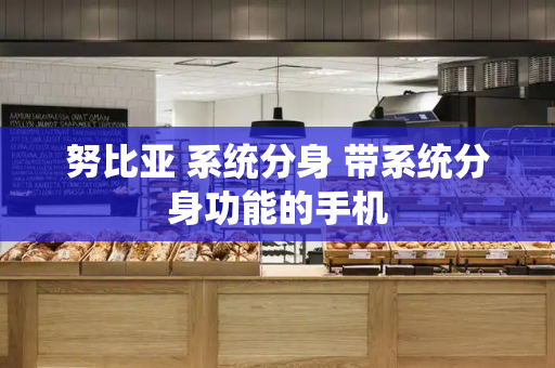 努比亚 系统分身 带系统分身功能的手机-第1张图片-星选测评
