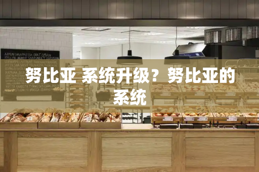 努比亚 系统升级？努比亚的系统
