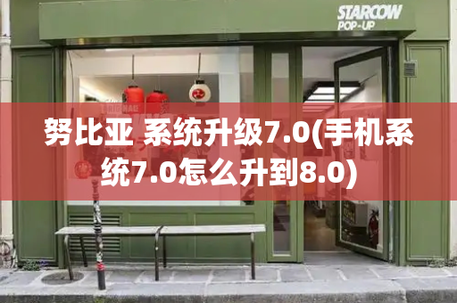 努比亚 系统升级7.0(手机系统7.0怎么升到8.0)-第1张图片-星选测评