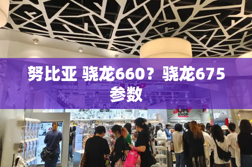 努比亚 骁龙660？骁龙675参数