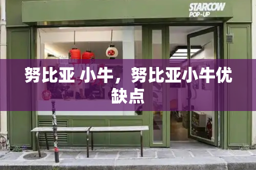 努比亚 小牛，努比亚小牛优缺点