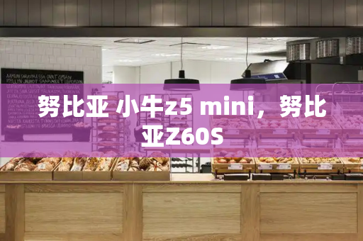 努比亚 小牛z5 mini，努比亚Z60S