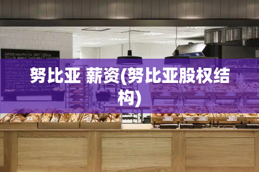 努比亚 薪资(努比亚股权结构)
