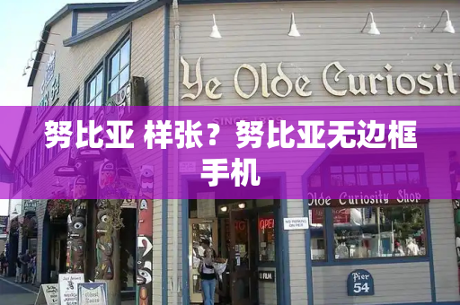 努比亚 样张？努比亚无边框手机
