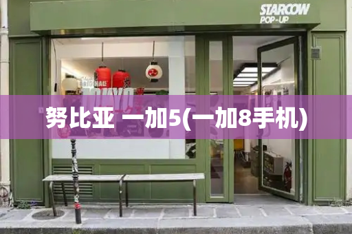 努比亚 一加5(一加8手机)-第1张图片-星选测评