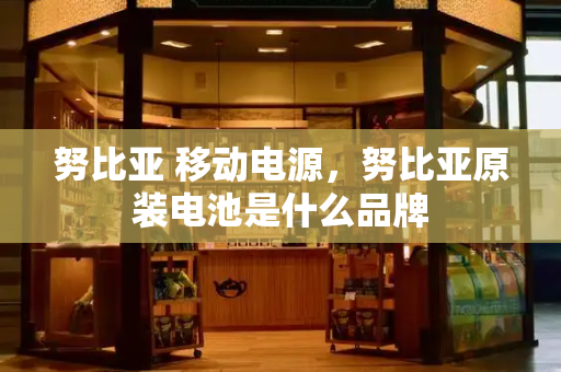 努比亚 移动电源，努比亚原装电池是什么品牌-第1张图片-星选测评