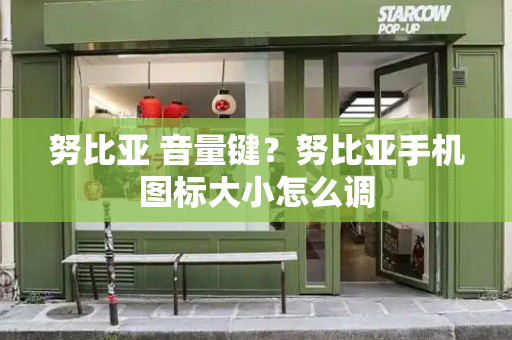 努比亚 音量键？努比亚手机图标大小怎么调-第1张图片-星选测评