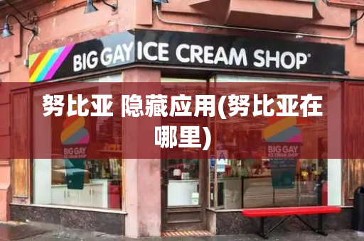 努比亚 隐藏应用(努比亚在哪里)