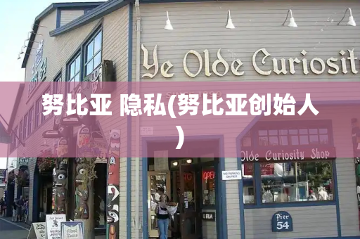 努比亚 隐私(努比亚创始人)