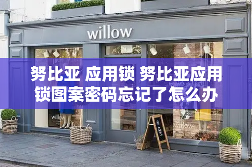 努比亚 应用锁 努比亚应用锁图案密码忘记了怎么办