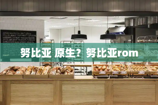努比亚 原生？努比亚rom
