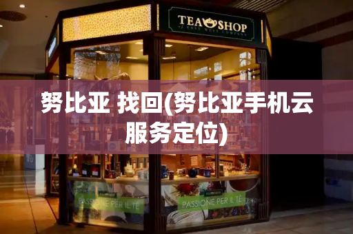 努比亚 找回(努比亚手机云服务定位)-第1张图片-星选测评