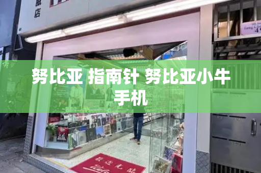 努比亚 指南针 努比亚小牛手机