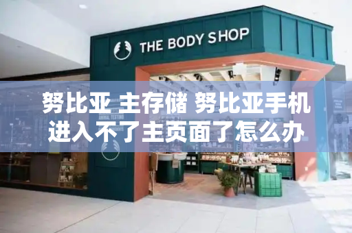努比亚 主存储 努比亚手机进入不了主页面了怎么办
