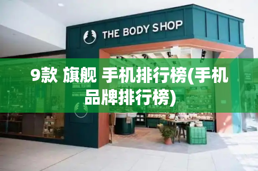 9款 旗舰 手机排行榜(手机品牌排行榜)