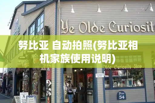 努比亚 自动拍照(努比亚相机家族使用说明)-第1张图片-星选测评