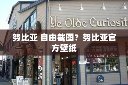 努比亚 自由截图？努比亚官方壁纸