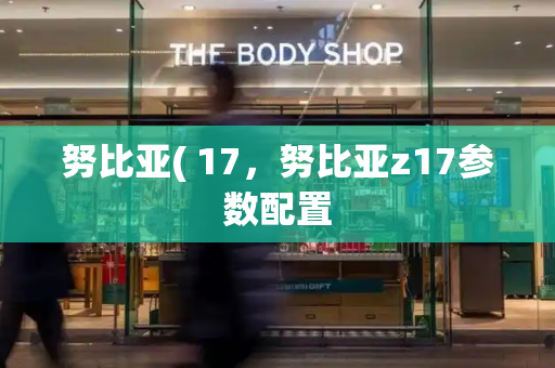 努比亚( 17，努比亚z17参数配置