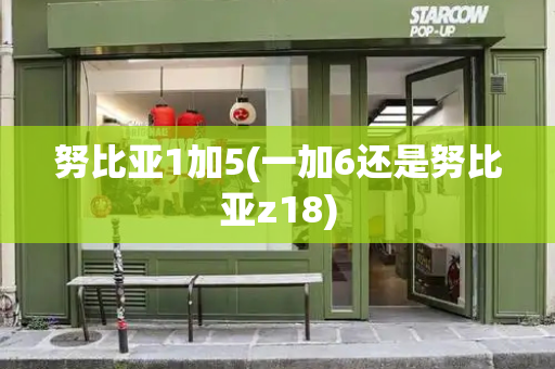 努比亚1加5(一加6还是努比亚z18)