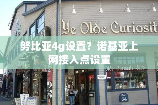 努比亚4g设置？诺基亚上网接入点设置